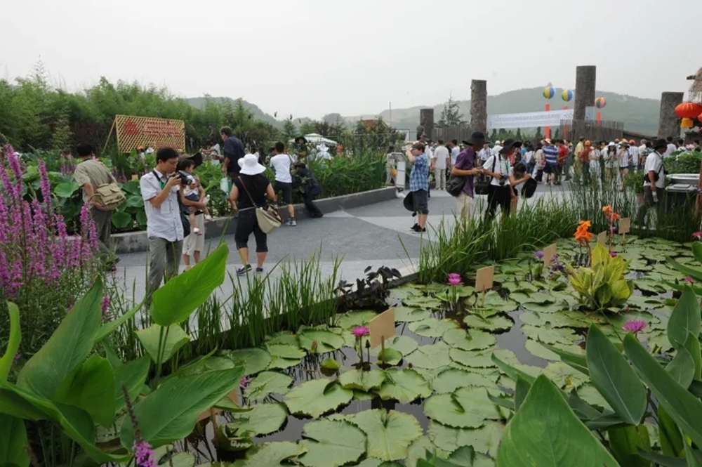 图片4.jpg